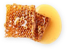 Bienenwachs